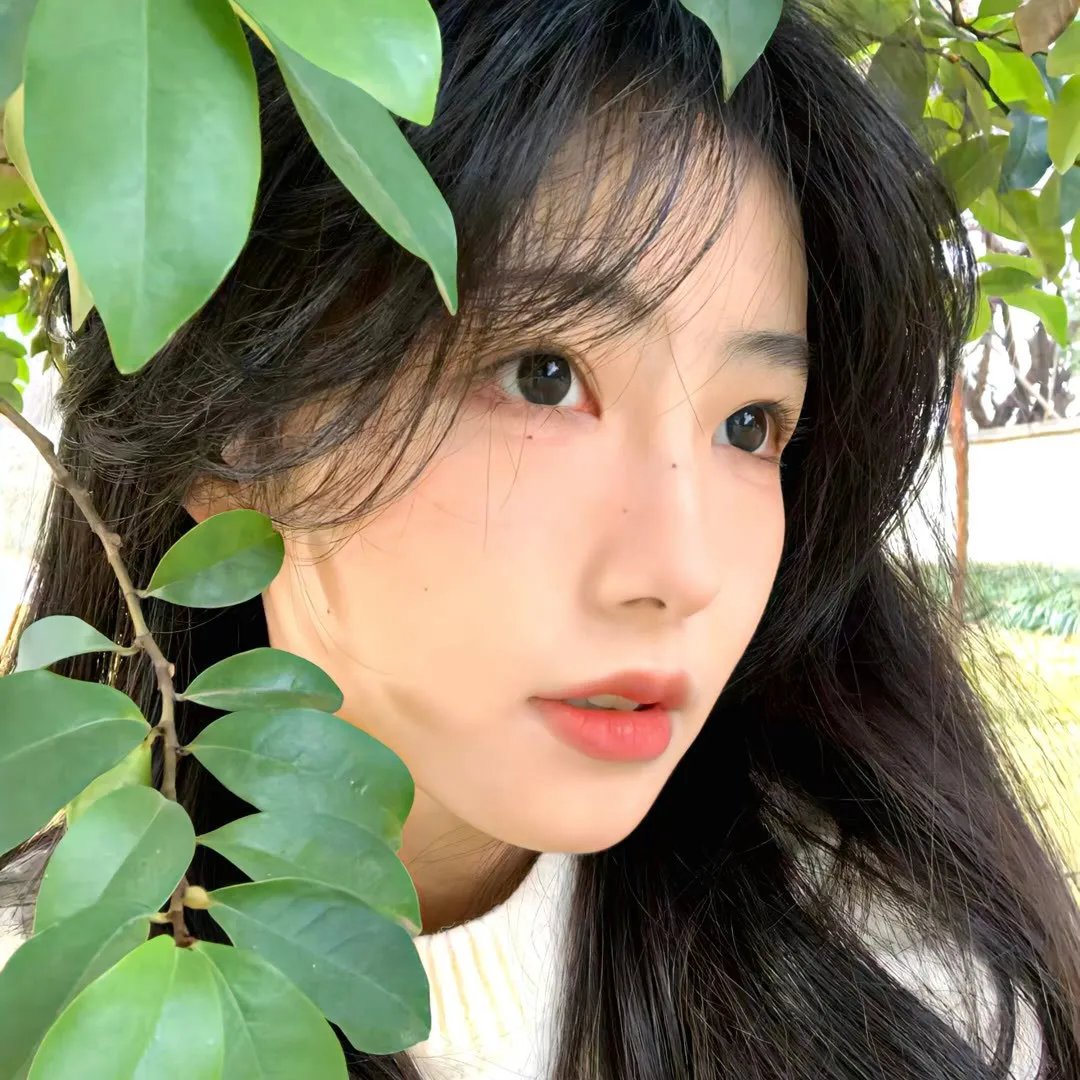 玉楼春