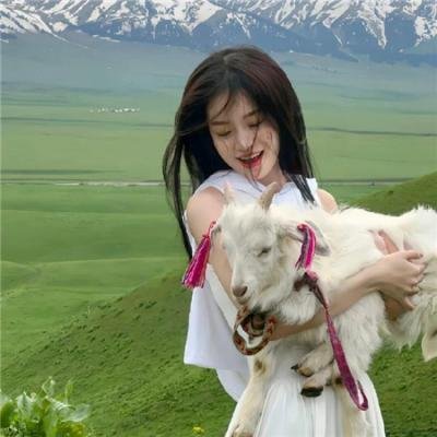 大明王朝1566